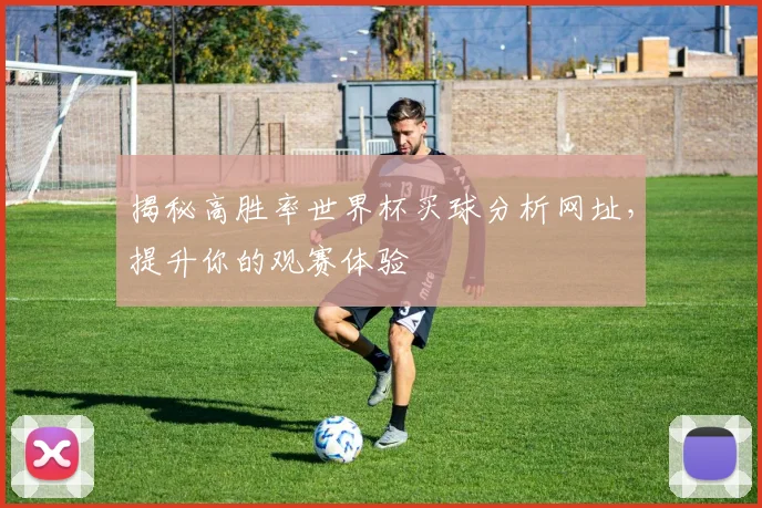 揭秘高胜率世界杯买球分析网址，提升你的观赛体验