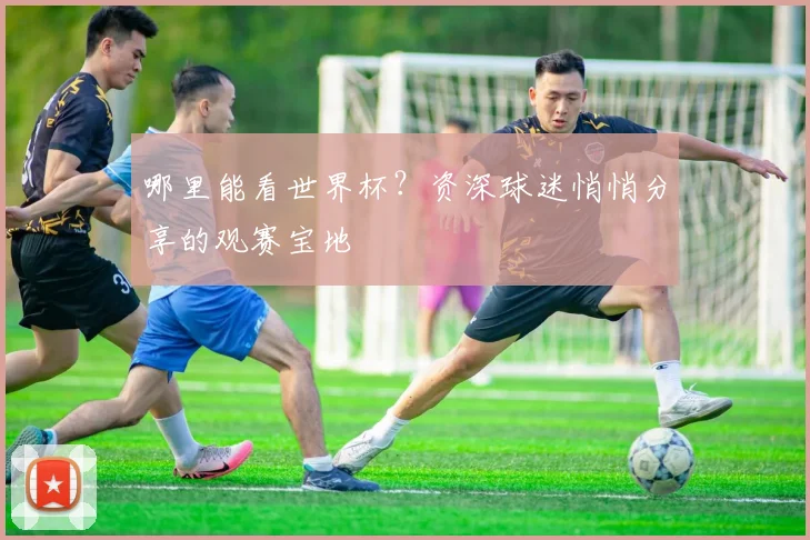 哪里能看世界杯？资深球迷悄悄分享的观赛宝地