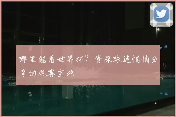 哪里能看世界杯？资深球迷悄悄分享的观赛宝地