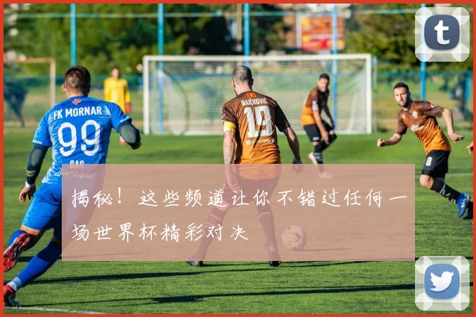 揭秘！这些频道让你不错过任何一场世界杯精彩对决