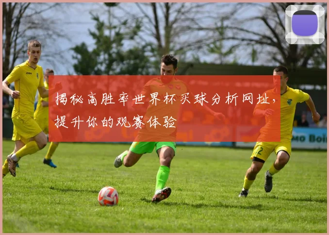揭秘高胜率世界杯买球分析网址，提升你的观赛体验