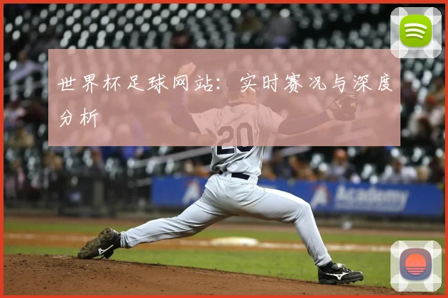 世界杯足球网站：实时赛况与深度分析